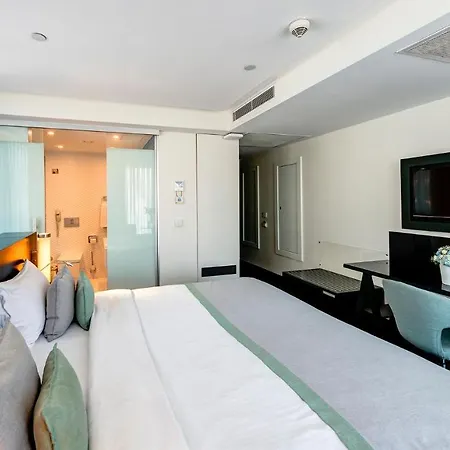 The Elysium Styles Taksim Hotel Istanboel